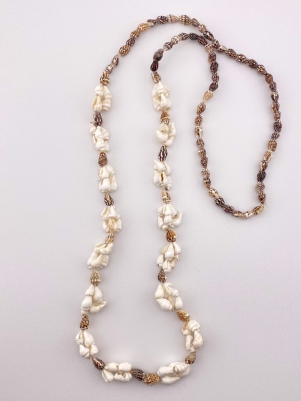 (4) Seashell Necklace